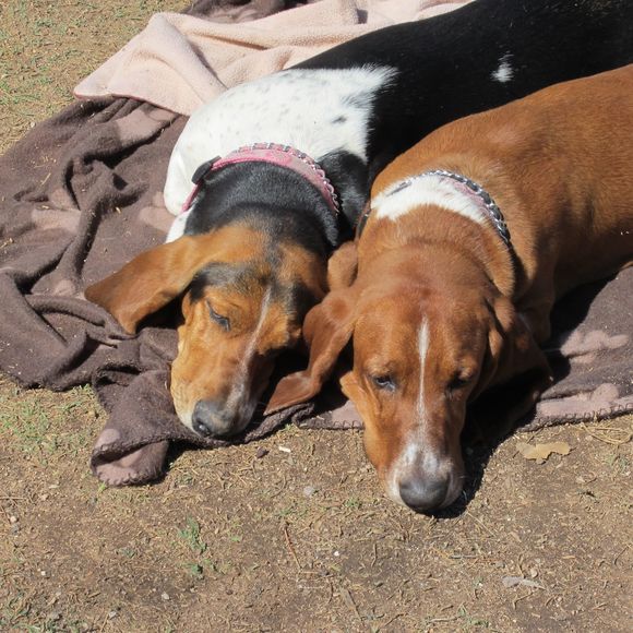 Meet your Posher, James - Picture 1 of 1